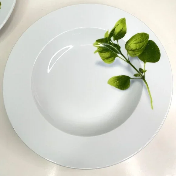 Crate & Barrel Herb Motif Porcelain Dinner Plates Set Of 2 - Picture 5 of 9